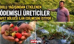 Dolu yağışından etkilenen Ödemişli Üreticiler Afet Bölgesi İlan edilmesini istiyor