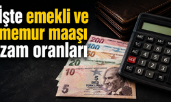 İşte emekli ve memur maaşı zam oranları
