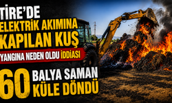 Tire’de Elektrik Akımına Kapılan Kuş Yangına Neden Oldu iddiası 60 Balya Saman Küle Döndü