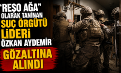 "Reşo Ağa" olarak tanınan suç örgütü lideri Özkan Aydemir gözaltına alındı