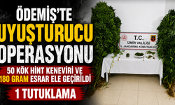 Ödemiş’te Uyuşturucu Operasyonu 50 Kök Hint Keneviri ve 180 Gram Esrar Ele Geçirildi 1 tutuklama