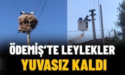ÖDEMİŞ’TE LEYLEKLER YUVASIZ KALDI