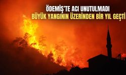 Ödemiş’te Acı Unutulmadı Büyük Yangının Üzerinden Bir Yıl Geçti