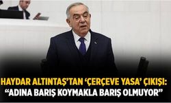 Haydar Altıntaş’tan ‘Çerçeve Yasa’ çıkışı: “Adına barış koymakla barış olmuyor”