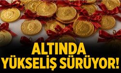 Altında yükseliş sürüyor!