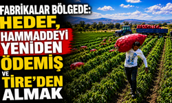 Fabrikalar Bölgede, Hedef Hammaddeyi Yeniden Ödemiş ve Tire’den Almak