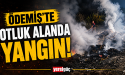 Ödemiş'te otluk alanda yangın!