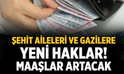 Şehit aileleri ve gazilere yeni haklar! Maaşlar artacak