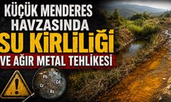 Küçük Menderes Havzasında Su Kirliliği ve Ağır Metal Tehlikesi