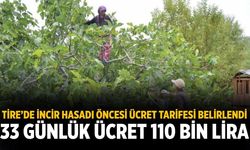 Tire’de İncir Hasadı Öncesi Ücret Tarifesi Belirlendi
