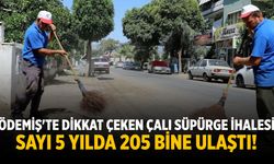 Ödemiş'te dikkat çeken çalı süpürge ihalesi Sayı 5 yılda 205 bine ulaştı!