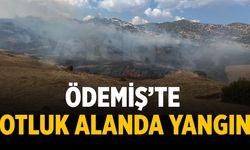 Ödemiş’te Otluk Alanda Yangın