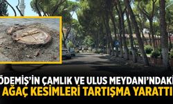 Ödemiş’in Çamlık ve Ulus Meydanı’ndaki Ağaç Kesimleri Tartışma Yarattı