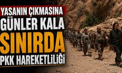 Yasanın çıkmasına günler kala sınırda PKK hareketliliği