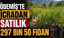 Ödemiş’te İcradan satılık 297 Bin 50 Fidan