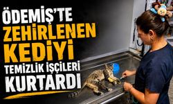 Ödemiş’te Zehirlenen Kediyi Temizlik İşçileri Kurtardı