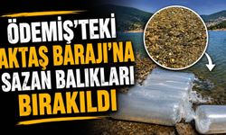 Ödemiş’teki Aktaş Barajı’na Sazan Balıkları bırakıldı