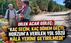DİLEK ACAR GÜLEÇ: “KAÇ SEÇİM, KAÇ DÖNEM GEÇTİ; HORZUM’A VERİLEN YOL SÖZÜ HÂLÂ YERİNE GETİRİLMEDİ”