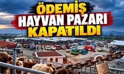 Ödemiş Hayvan Pazarı Kapatıldı