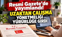 Uzaktan çalışma yönetmeliği yürürlüğe girdi