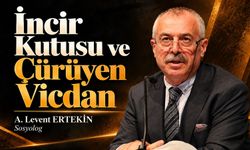 A. Levent Ertekin yazdı... İncir Kutusu ve çürüyen vicdan