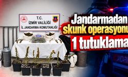 Jandarmadan skunk operasyonu 1 tutuklama