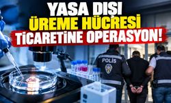 Yasa dışı üreme hücresi ticaretine operasyon!
