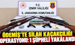 Ödemiş'te silah kaçakçılığı operasyonu: 1 şüpheli yakalandı