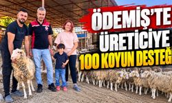 ÖDEMİŞLİ KADIN ÜRETİCİYE 100 KOYUN DESTEĞİ