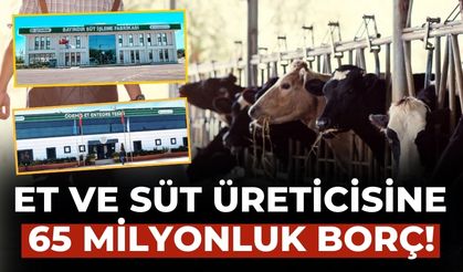 Et ve süt üreticisine 65 milyonluk borç!