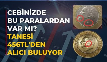 Cebinizde bu paralardan var mı? Tanesi 456 TL'den alıcı buluyor