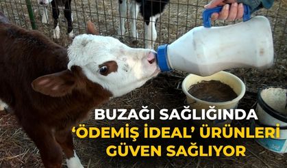 BUZAĞI SAĞLIĞINDA ‘ÖDEMİŞ İDEAL’ ÜRÜNLERİ GÜVEN SAĞLIYOR