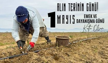 Alın terinin günü!  1 Mayıs Emek ve Dayanışma Günü kutlu olsun