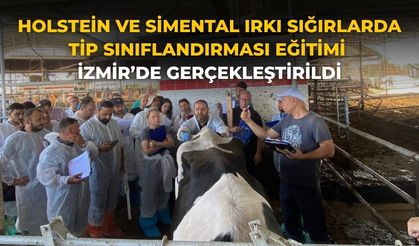Holstein ve Simental Irkı Sığırlarda Tip Sınıflandırması Eğitimi İzmir’de Gerçekleştirildi