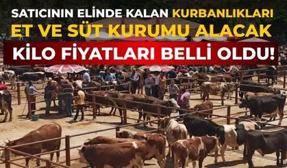 Satıcının elinde kalan kurbanlıkları Et ve Süt Kurumu alacak Kilo fiyatları belli oldu!