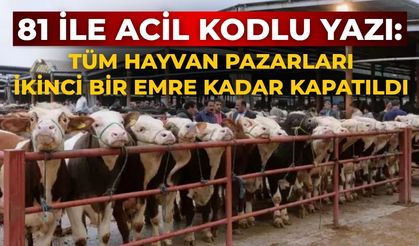 81 ile acil kodlu yazı: Tüm hayvan pazarları ikinci bir emre kadar kapatıldı
