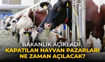 Bakanlık açıkladı: Kapatılan hayvan pazarları ne zaman açılacak?
