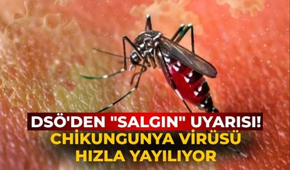DSÖ'den "salgın" uyarısı! Chikungunya virüsü hızla yayılıyor