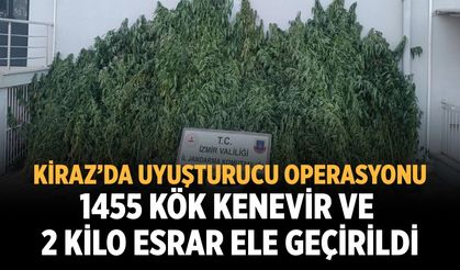 Kiraz’da uyuşturucu operasyonu 1455 kök kenevir ve 2 kilo esrar ele geçirildi