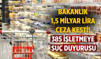 Bakanlık 1,5 milyar lira ceza kesti! 385 işletmeye suç duyurusu