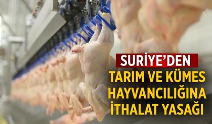 Suriye’den tarım ve kümes hayvancılığına ithalat yasağı
