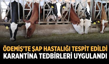 ÖDEMİŞ’TE ŞAP HASTALIĞI TESPİT EDİLDİ