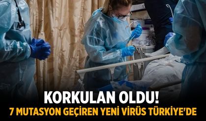 Korkulan oldu! 7 mutasyon geçiren yeni virüs Türkiye'de