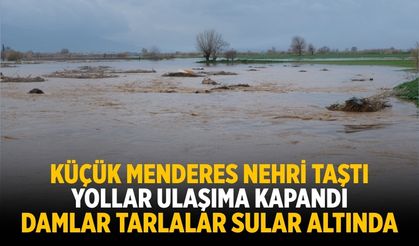 KÜÇÜK MENDERES NEHRİ TAŞTI