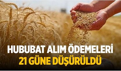 Hububat Alım Ödemeleri 21 Güne Düşürüldü
