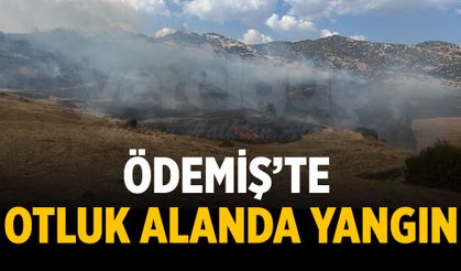 Ödemiş’te Otluk Alanda Yangın