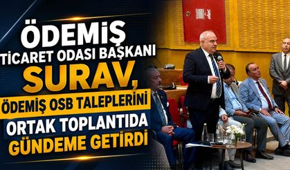 Ödemiş Ticaret Odası Başkanı Surav, Ödemiş OSB Taleplerini Ortak Toplantıda Gündeme Getirdi