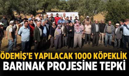 ÖDEMİŞ’E YAPILACAK 1000 KÖPEKLİK BARINAK PROJESİNE TEPKİ
