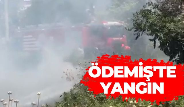 Ödemiş'te Tarla Kenarında Çıkan Yangın Söndürüldü