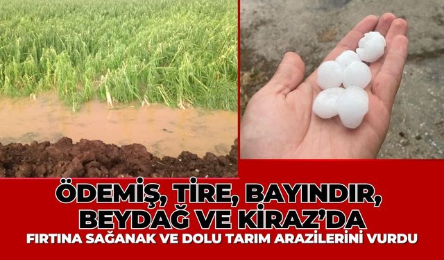 Ödemiş, Tire, Bayındır, Beydağ ve Kiraz’da Fırtına sağanak ve dolu tarım arazilerini vurdu